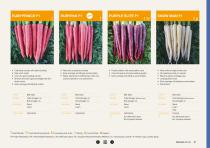 Carrot brochure-21