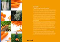 Carrot brochure-2
