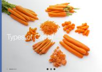 Carrot brochure-4