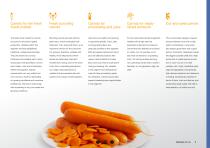 Carrot brochure-5