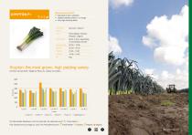 Leek brochure-11