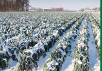 Leek brochure-15