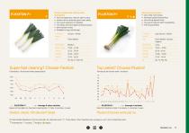 Leek brochure-17