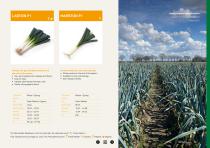 Leek brochure-19