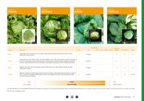 Open Field Lettuce brochure-11