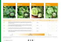 Open Field Lettuce brochure-12