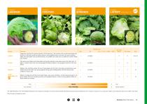 Open Field Lettuce brochure-13