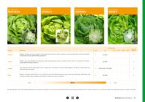 Open Field Lettuce brochure-15