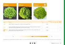 Open Field Lettuce brochure-18