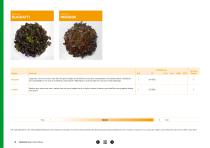 Open Field Lettuce brochure-19