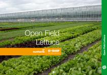 Open Field Lettuce brochure-1