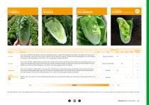 Open Field Lettuce brochure-21
