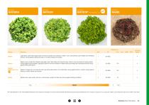 Open Field Lettuce brochure-23