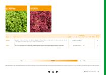 Open Field Lettuce brochure-25