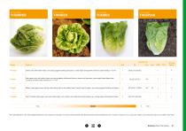 Open Field Lettuce brochure-27