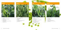 Peas assortment - 5