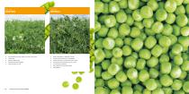 Peas assortment - 9