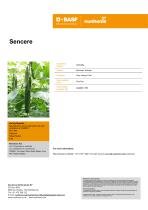 Sencere-1