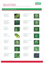 Vegetables and herbs-3