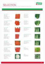 Vegetables and herbs-4