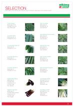 Vegetables and herbs-5