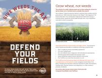 NORTHERN PLAINS SEED GUIDE-10