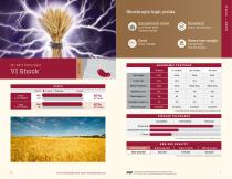 WHEAT SEED GUIDE - 4