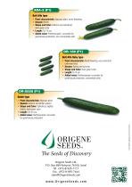 cucumbers-e-2