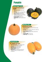 squash-e-2
