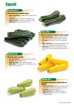 squash-e-3