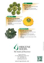 squash-e-4