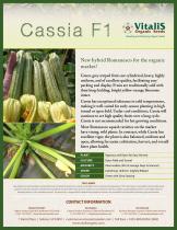 Cassia F1 - 1