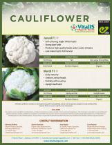 CAULIFLOWER - 1