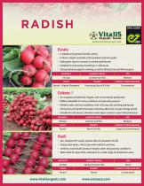 radish - 1