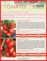 tomato - 1