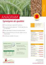 ANAGRAM-1