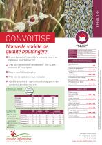CONVOITISE-1