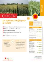 OXYGEN-1