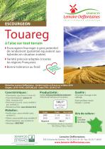 TOUAREG-1