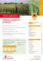 TRICANTO-1