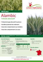 TRITICALE-1