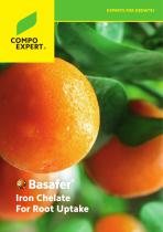 Basafer-1