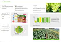 Granular NPK Fertilizers-3