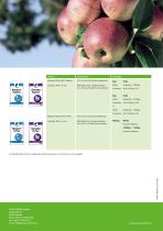 Granular NPK Fertilizers-5