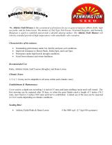 Athletic Field Mixture - 1