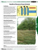 Durana Pecan Orchards - 3