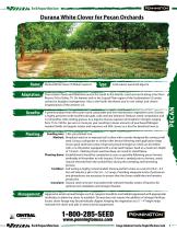 Durana Pecan Orchards - 5