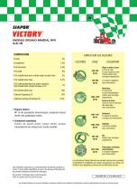 VICTORY-2