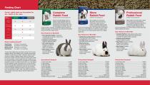 Rabbit Product Guide (2025)-2
