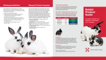 Rabbit Product Guide